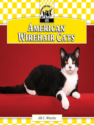cover image of American Wirehair Cats